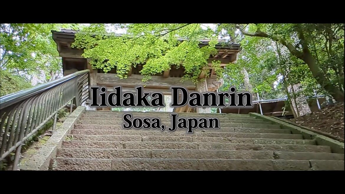 Iidaka Danrin. A journey to experience Japanese history. Sosa City, Chiba Prefecture 2024
