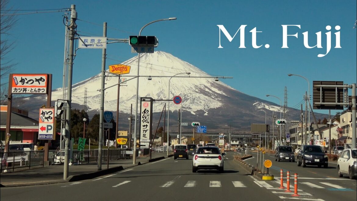 Mt  Fuji  beautiful and fun 1 day trip