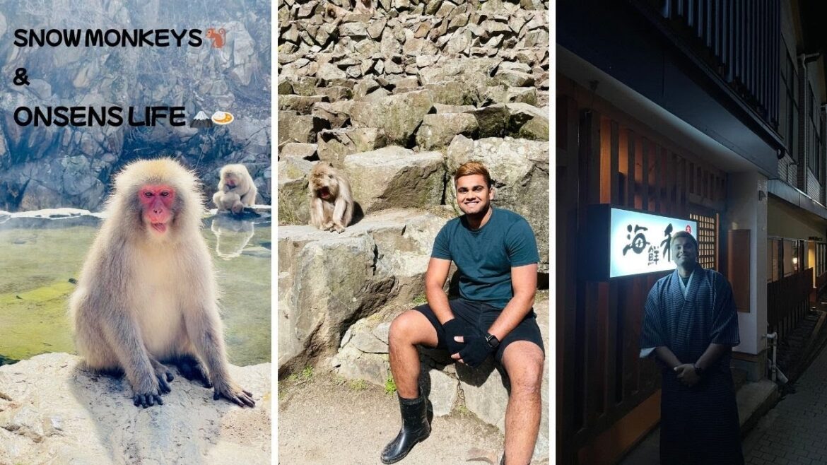 Snow Monkeys, Hot Springs & Katsu Curry | A Perfect Winter Day in Nagano ๐โ๏ธ๐ #ExploreNagano Snow Monkeys, Hot Springs & Katsu Curry | A Perfect Winter Day in Nagano ๐โ๏ธ๐ #ExploreNagano