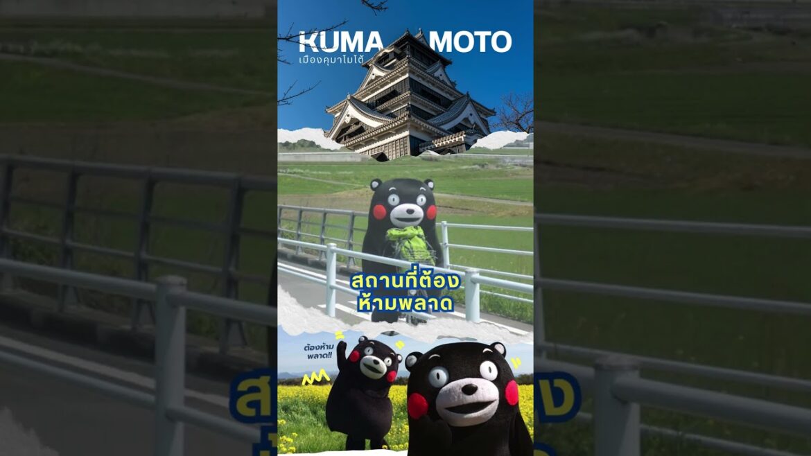 KUMAMOTO!!