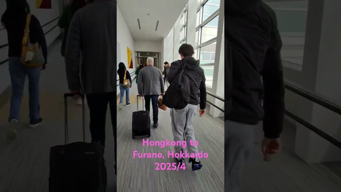 HK to Furano, Hokkaido 2025/4 #travel #hokkaido #furano #trip