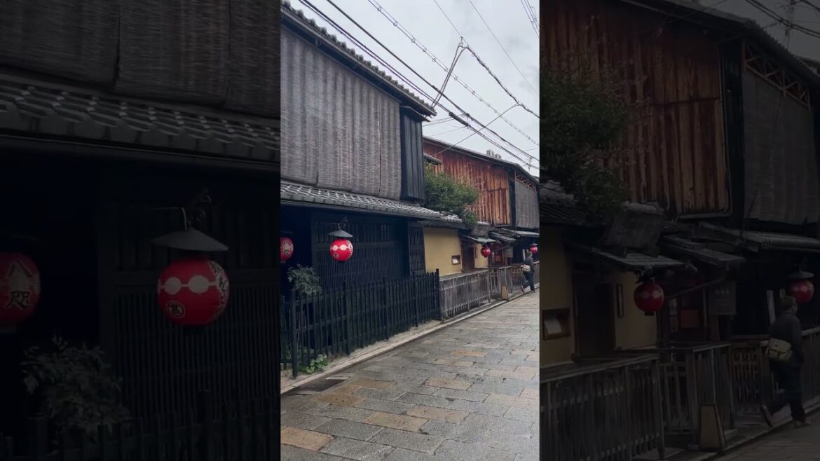 【KYOTO】Rainy Common Scene  - Shirakawa Lane
