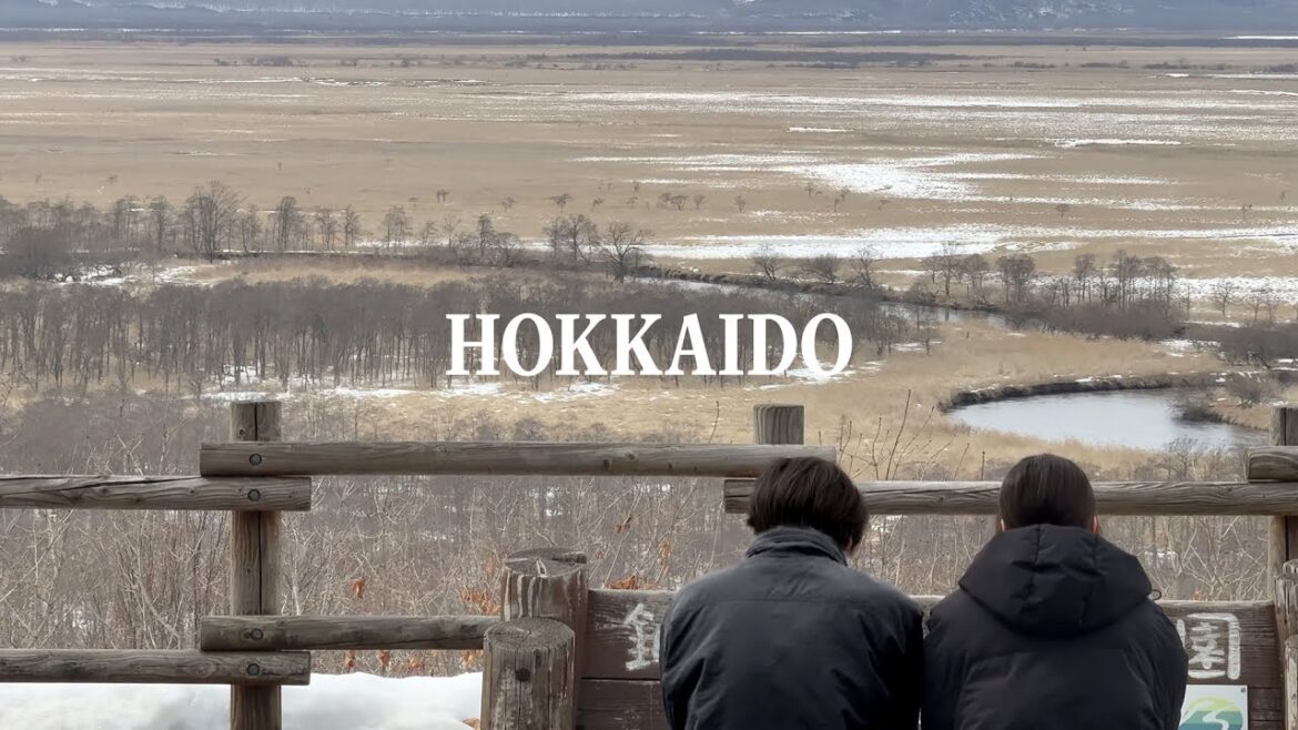 Safari in Hokkaido | Hokkaido Kushiro Travel Vlog Part 2 (Japan)