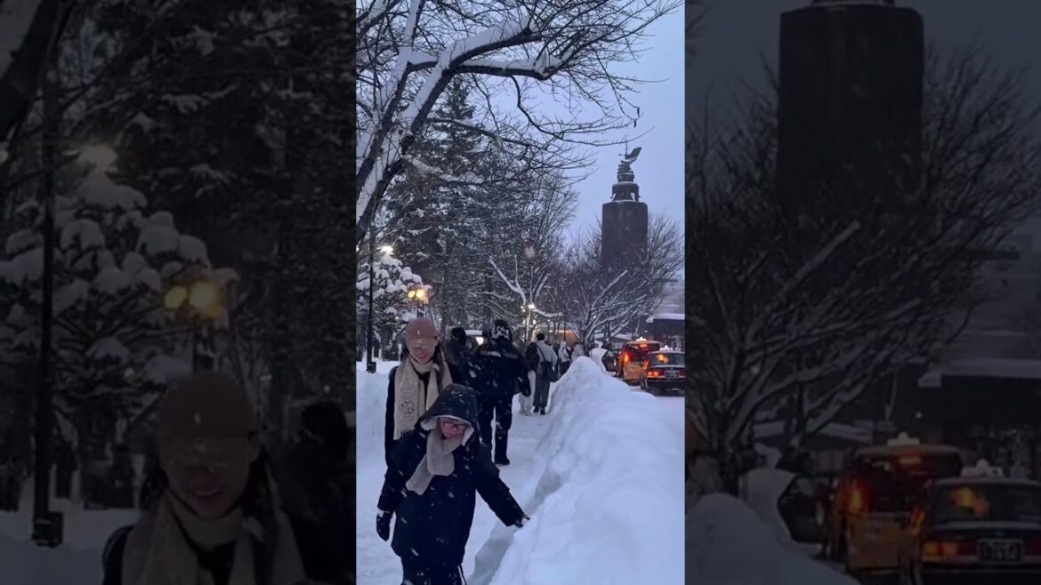 Snowing #japan #sapporo #traveling #travel #trending #youtubeshorts