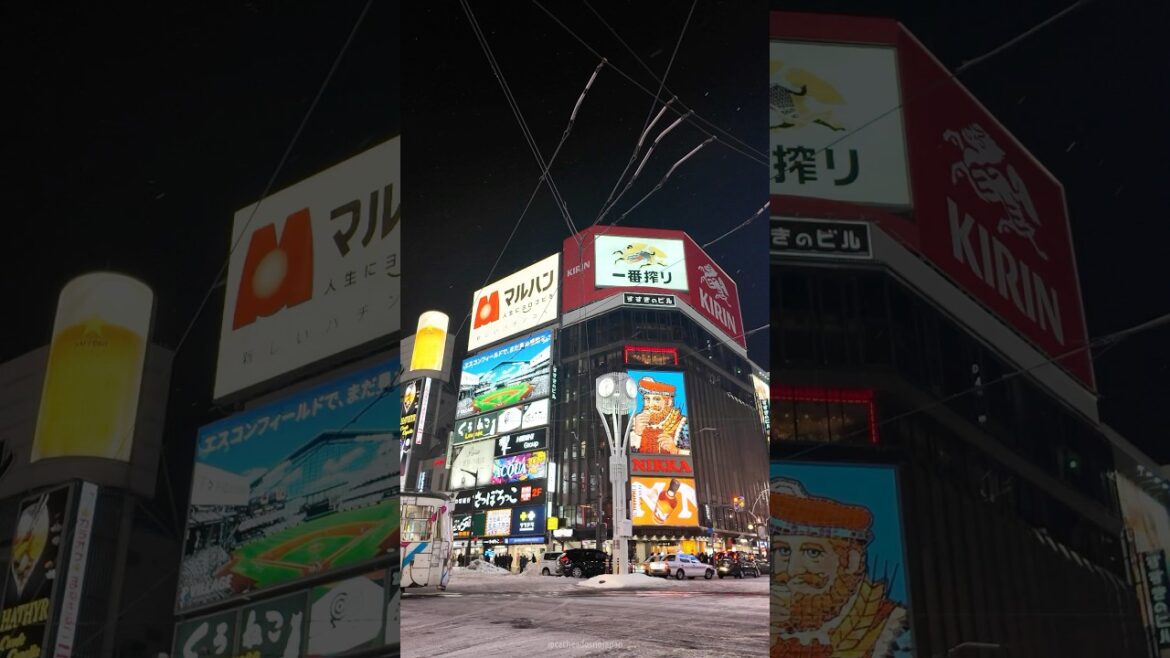 Conheça a Tóquio do norte: Sapporo ❄️ #japão #sapporo #hokkaido