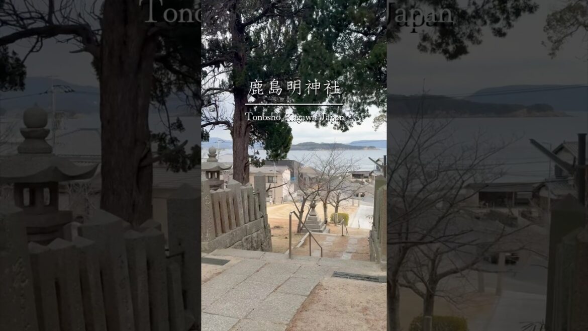 ここだったよね、始まりは　#土庄 #鹿島海岸 #鹿島明神社 #小豆島 #海 #風景 #日本の風景 #海のある町 #海のイドバタ会議