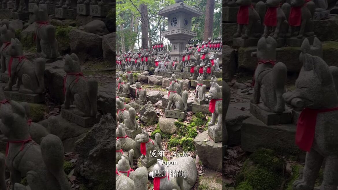 豊川稲荷　霊狐塚　#Aichi  #japantravel #japan