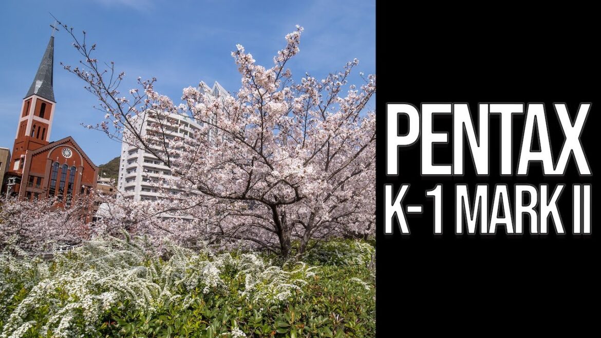 PENTAX K-1 Mark II - IKUTAGAWA CHERRY BLOSSOMS [生田川の桜]・JAPAN