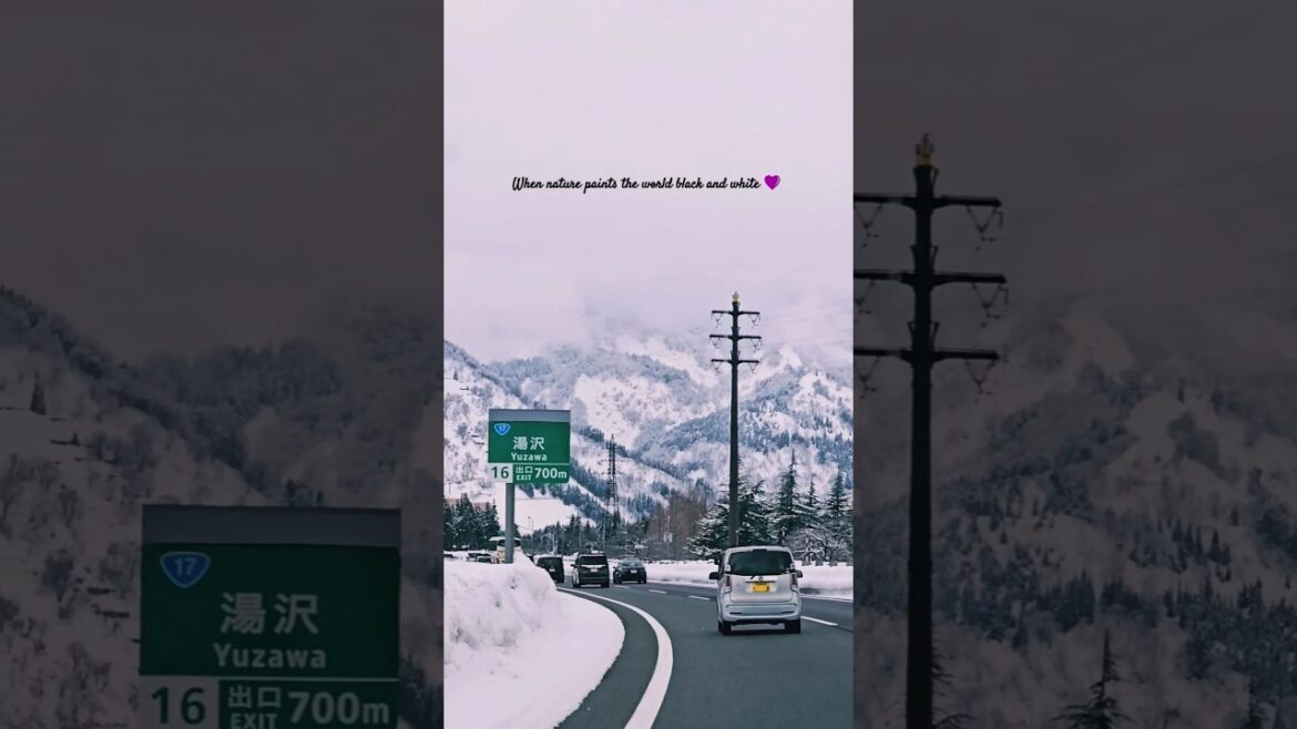 #travel #nature #explorejapan #japan #snow #niigata #yuzawa #japantravel #explore #fyp