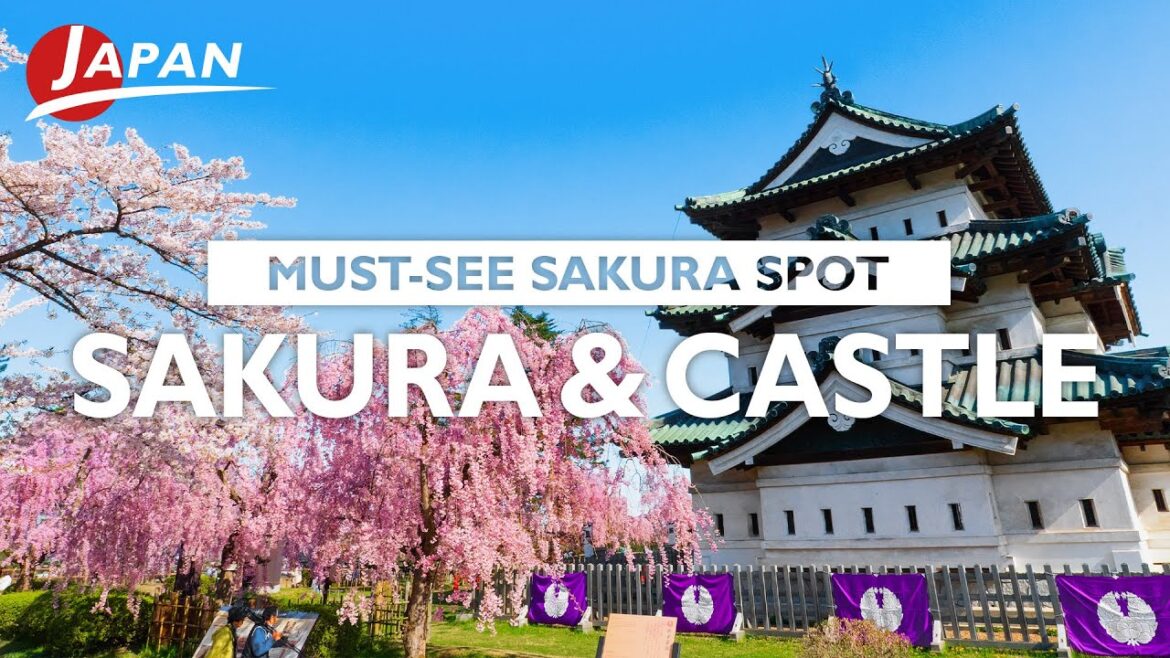 Experience Japan’s Most Breathtaking Cherry Blossoms | Aomori, Japan Trip Experience Japan’s Most Breathtaking Cherry Blossoms | Aomori, Japan Trip