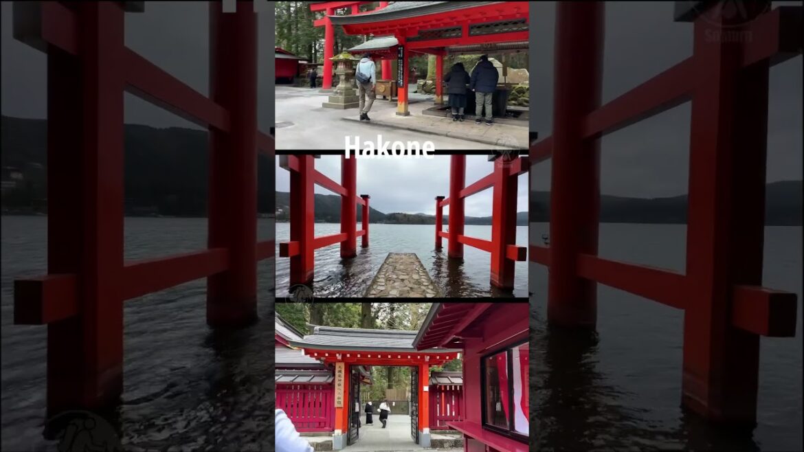 Hakone Shrine & Heiwa no Torii  | Japan | 01  #hakone #lake #ashi #torii