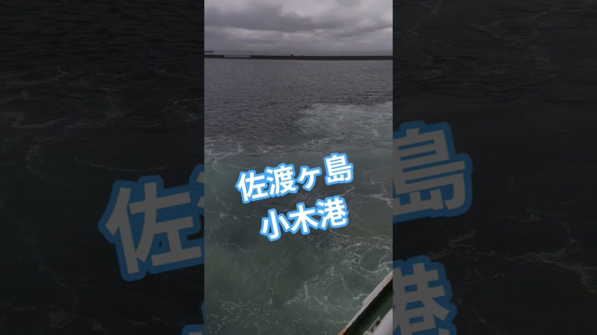 【佐渡めぐり】#新潟県 #佐渡市#小木港#佐渡汽船#船旅#旅行#移動手段#こがね丸#トキ#船#佐渡ヶ島#波#2等#1等#航路#離島#さどがしま #さど