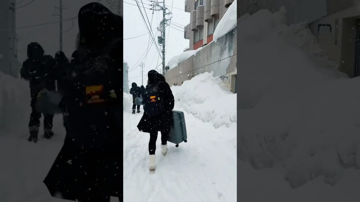 Snowboarding in Japan: 📍Hakuba, Nagano 🏂🗻 #tokyo #travel #japan #shorts #viral #trending