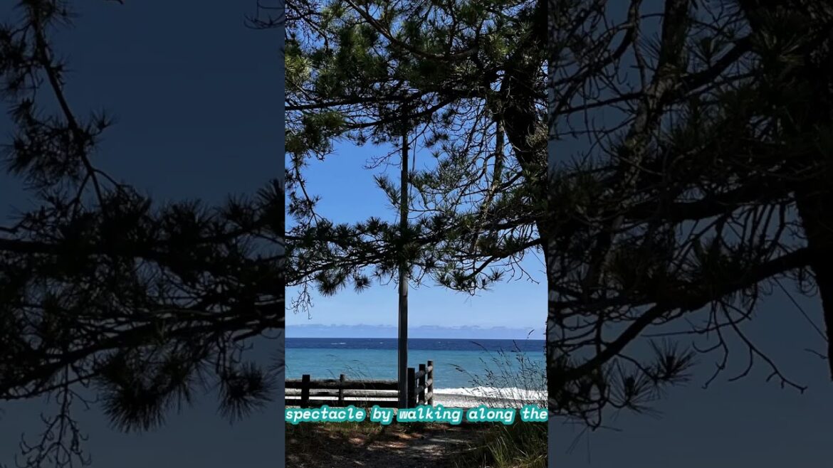 Japan’s Spring Quartet: Breathtaking Views of Asahi Funakawa (Toyama) Japan's Spring Quartet: Breathtaking Views of Asahi Funakawa (Toyama)