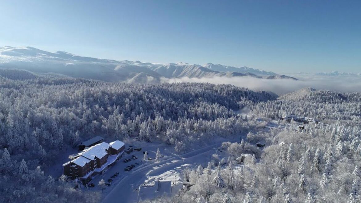 #ReviewHotel #Review Higashikawa Asahidake Onsen Hotel Bear Monte