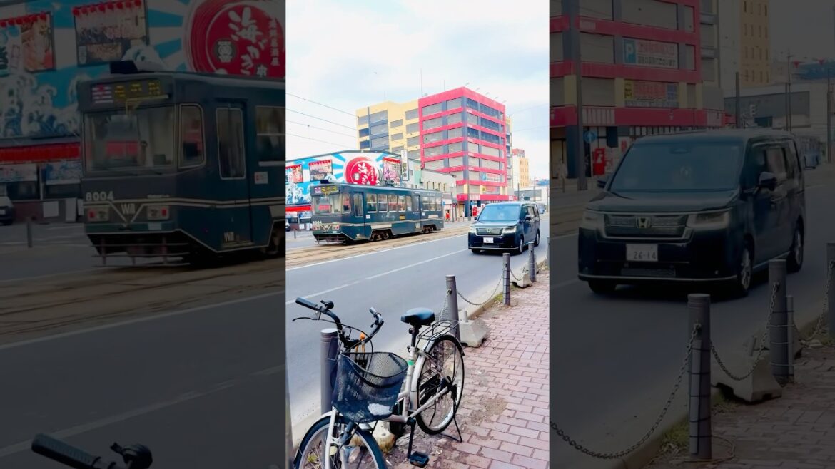 JAPAN -SAPPORO 🇯🇵#japan #foryou #travel