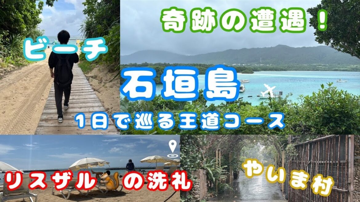 【沖縄 Vlog】石垣島を巡る1日王道コース　〜川平湾で奇跡の遭遇〜　そしてリスザルの洗礼
