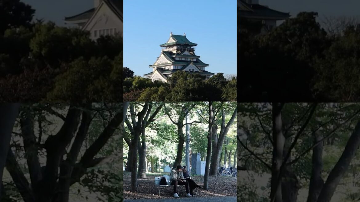 Take me back to Osaka #osaka #japan #travel #vlog #dotonbori #diary #thrifting #shopping #vintage