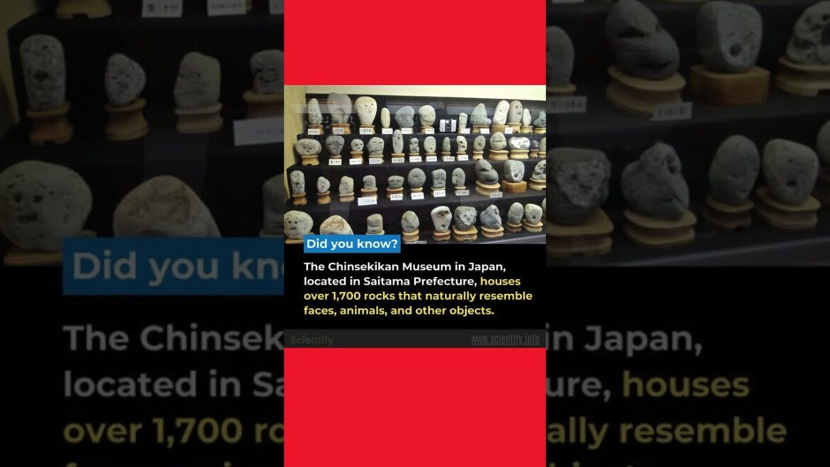 JAPAN #travel #explore #vacationvlogs  #travelvlog #trip #traveling #vacation  #ckgoesglobal #japan JAPAN #travel #explore #vacationvlogs  #travelvlog #trip #traveling #vacation  #ckgoesglobal #japan