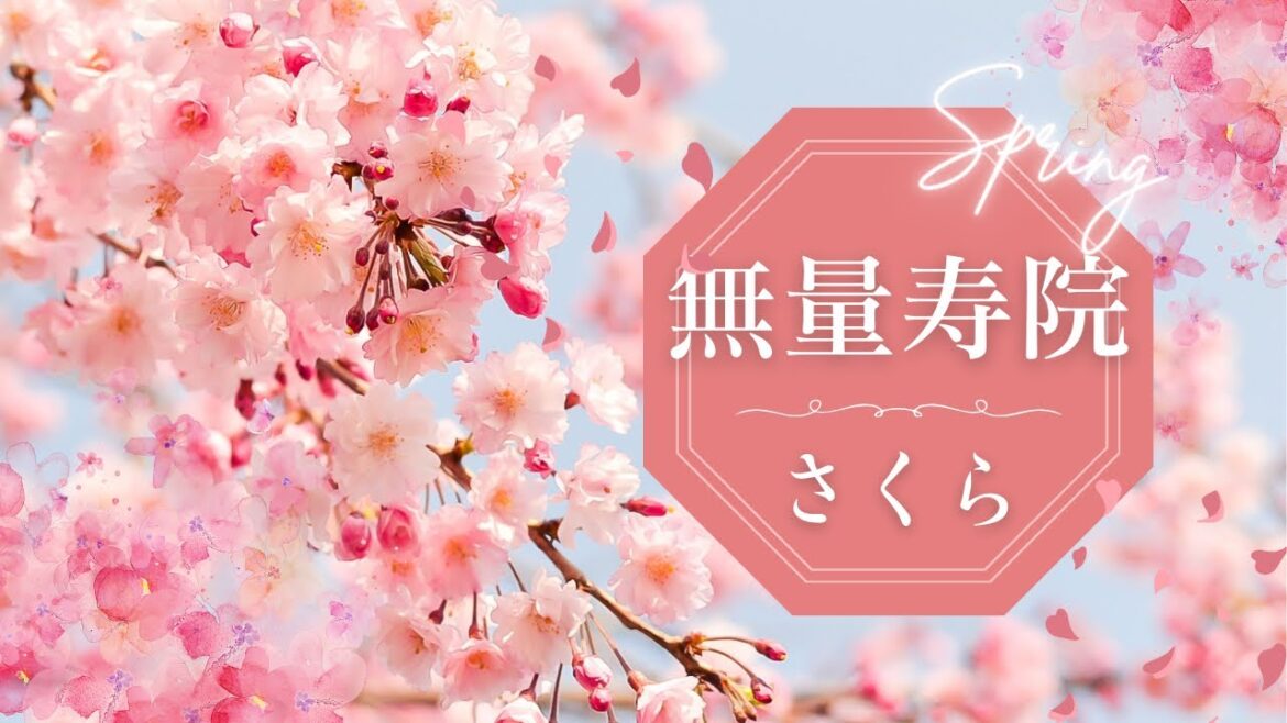 A Walk Through a Japanese Buddhist Temple “Muryojuin” Located in Chiba Prefecture