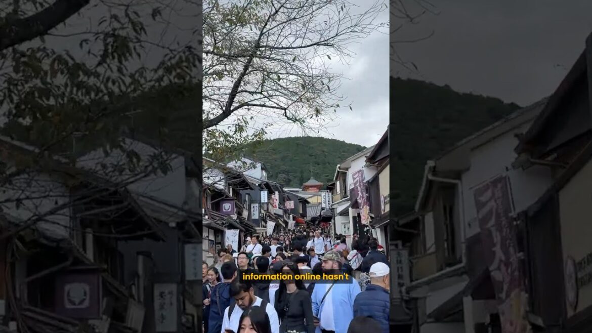 Tourism has transformed Kyoto but the information online has stayed the same