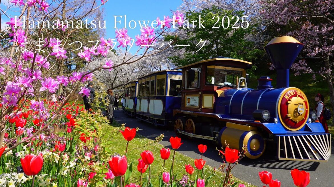 Hamamatsu Flower Park : The world’s most beautiful garden of cherry blossoms and tulips! Hamamatsu Flower Park : The world's most beautiful garden of cherry blossoms and tulips!