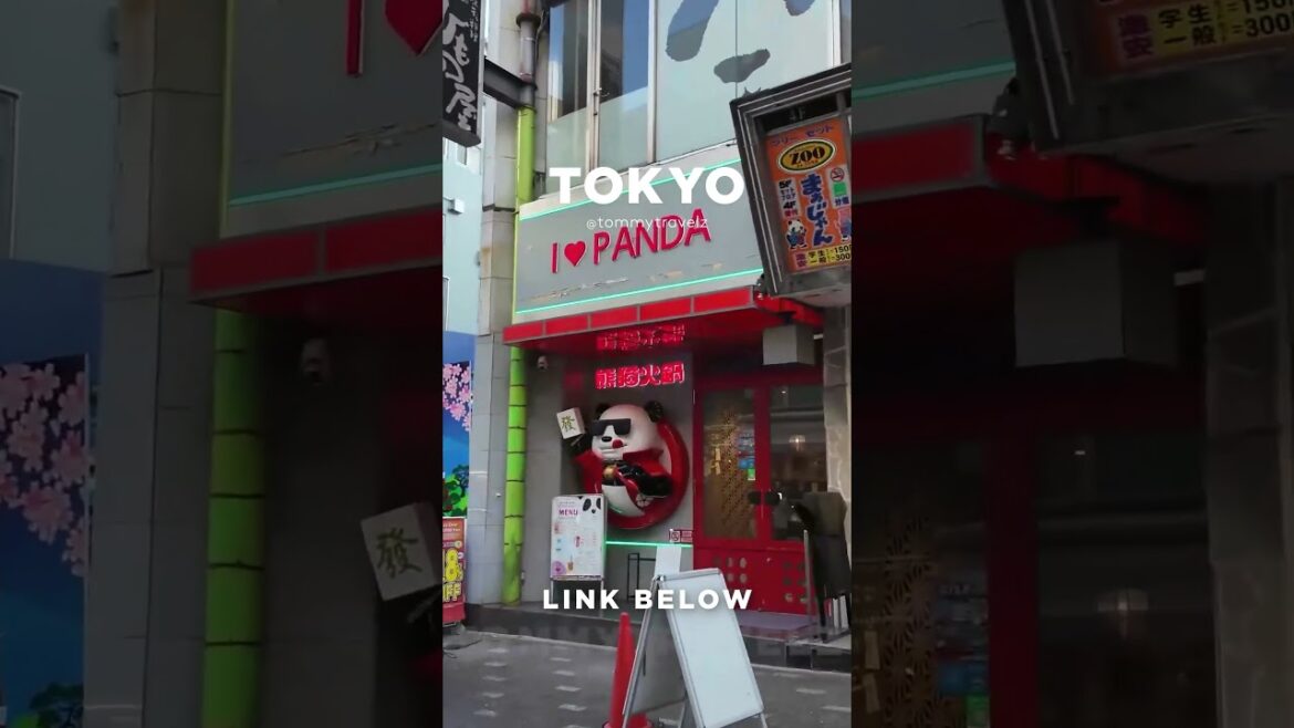 #tokyo #osaka #ohtani #kyoto #shibuya #ginza #onsen #shinjuku #soba #ramen #tokyotravel #japan