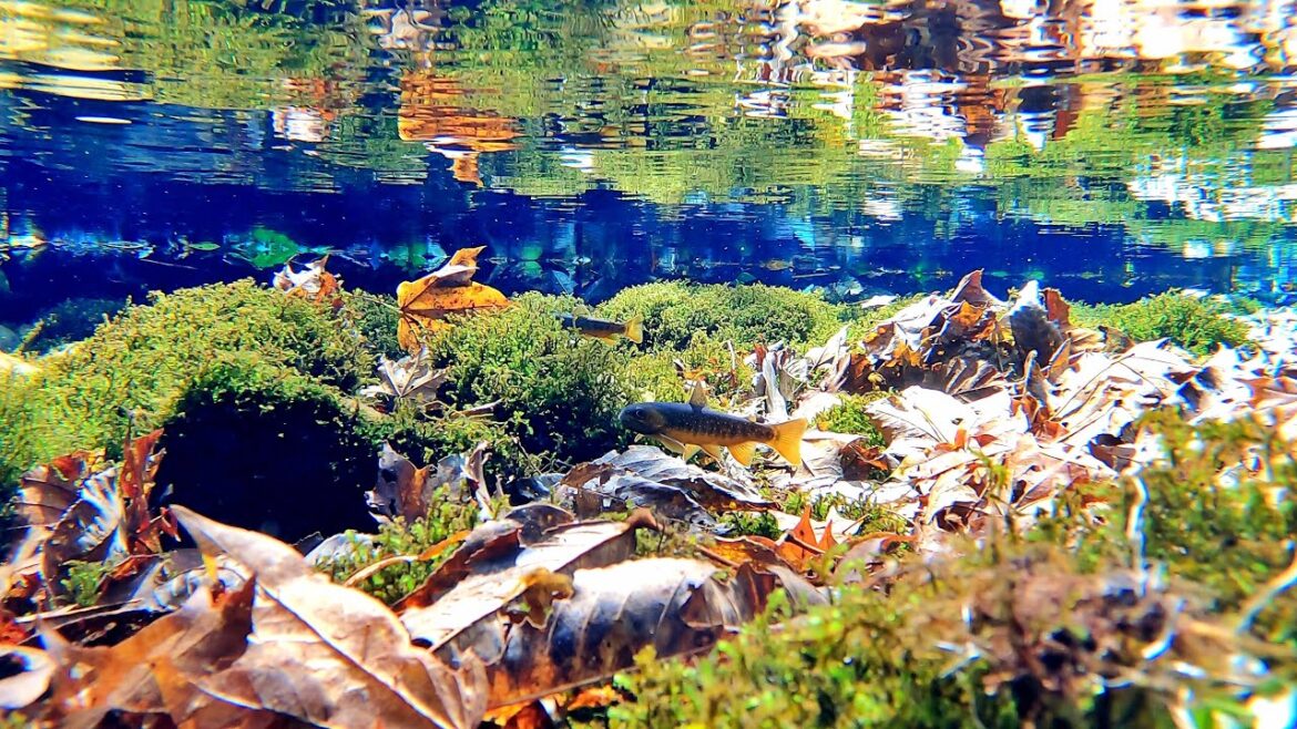 Hokkaido 25, Kamifurano 3 – 北海道、上富良野 3 #journey #trip #travel #hokkaido #kamifurano Hokkaido 25, Kamifurano 3 - 北海道、上富良野 3 #journey #trip #travel #hokkaido #kamifurano