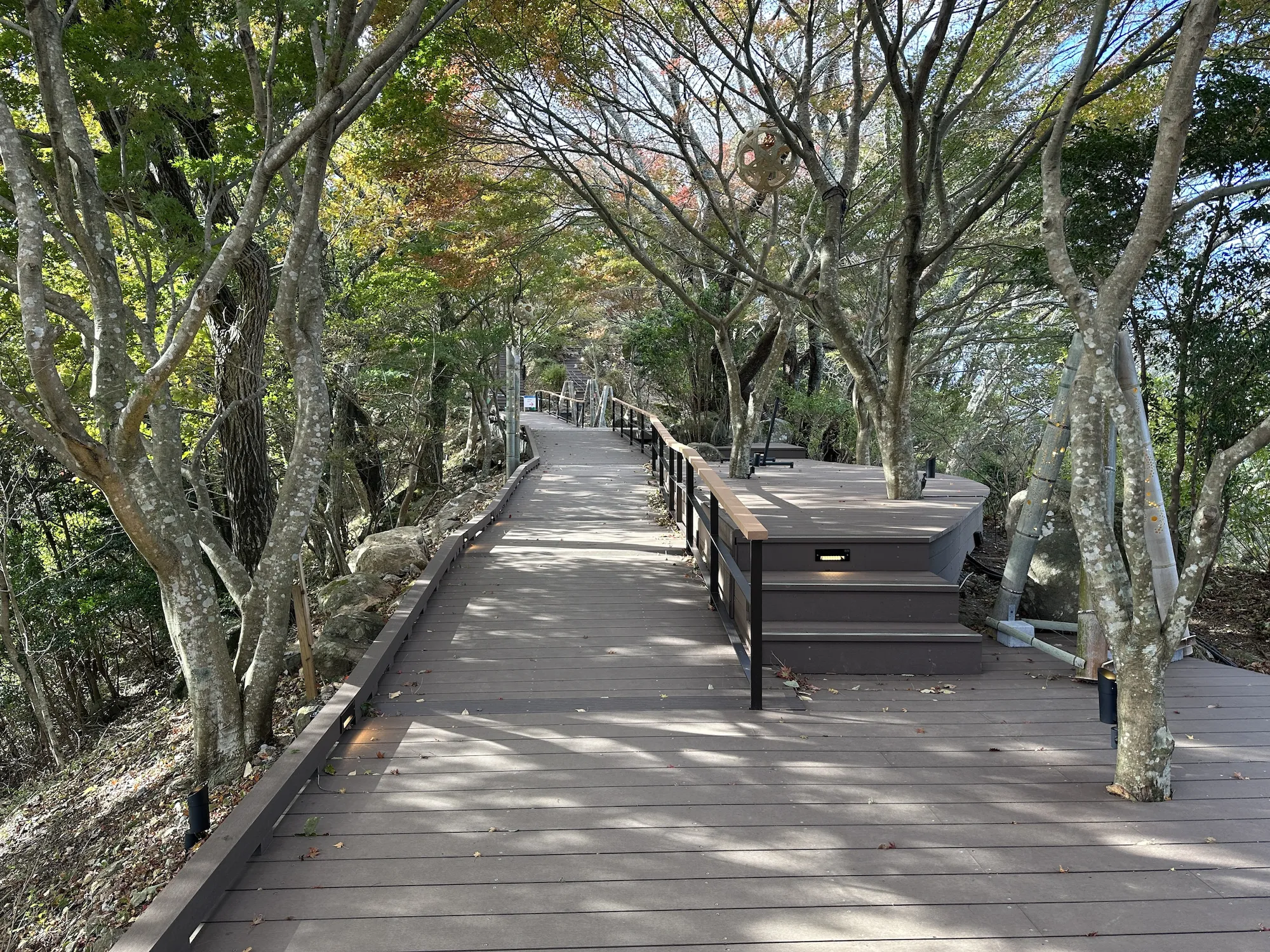 Forest Walk, Izu Panorama Park
