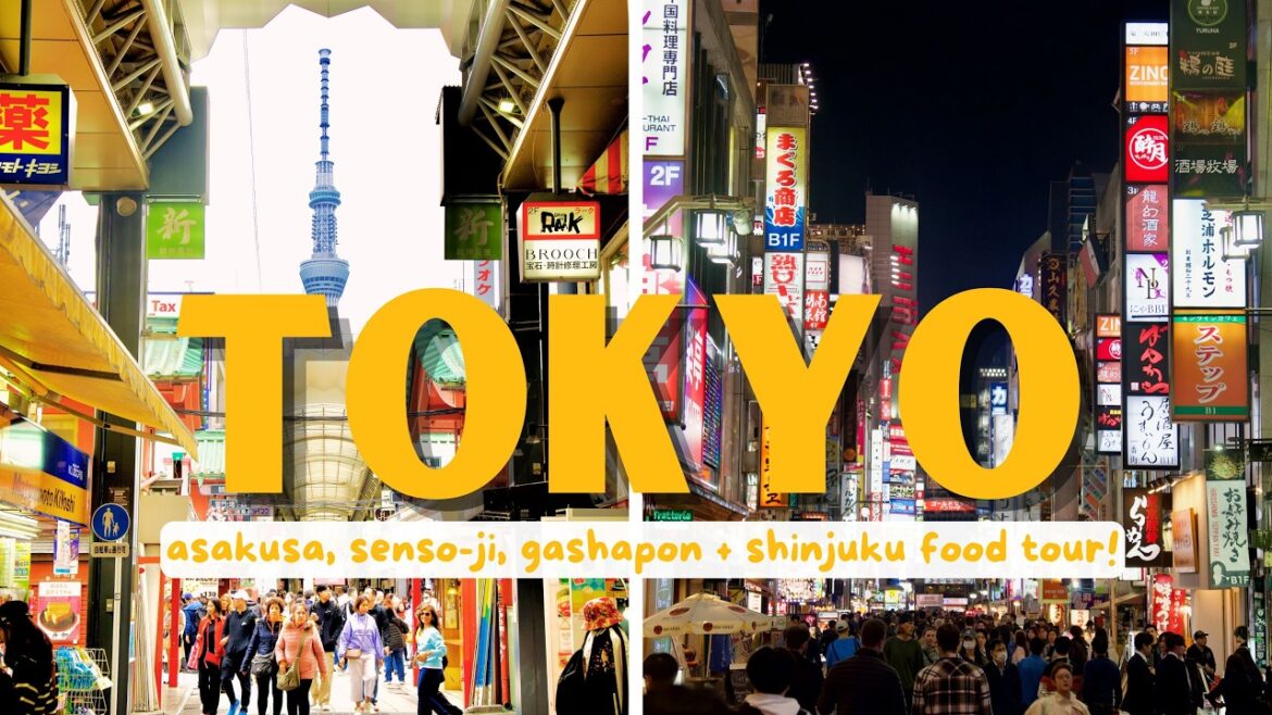 BEST DAY IN TOKYO: Asakusa + Shinjuku! (Senso-ji, Japanese Street Food, Gashapon, Izakaya Food Tour)