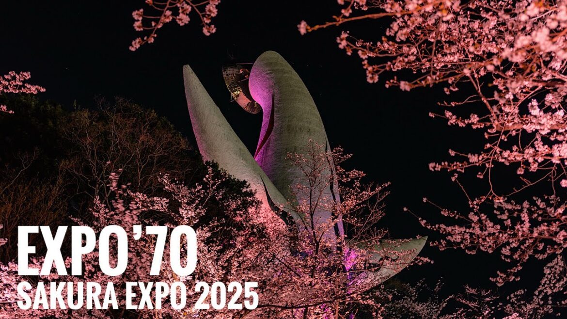 万博記念公園 SAKURA EXPO 2025 Osaka Night Walk – EXPO’70 Cherry Blossoms 4K HDR Japan 万博記念公園 SAKURA EXPO 2025 Osaka Night Walk - EXPO'70 Cherry Blossoms 4K HDR Japan