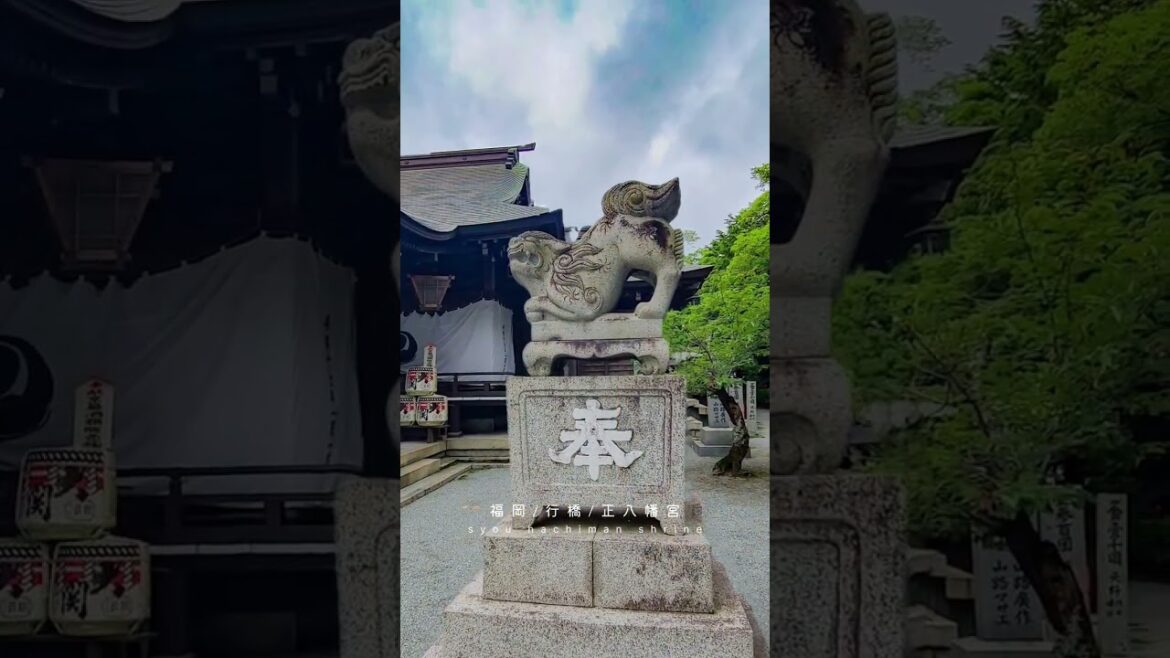 福岡県行橋市　⛩️正八幡宮【宇佐八幡宮の分霊を祀る】＃正八幡宮＃行橋観光＃福岡観光＃神社巡り＃パワースポット＃御朱印＃歴史散策＃正八幡宮の狛犬