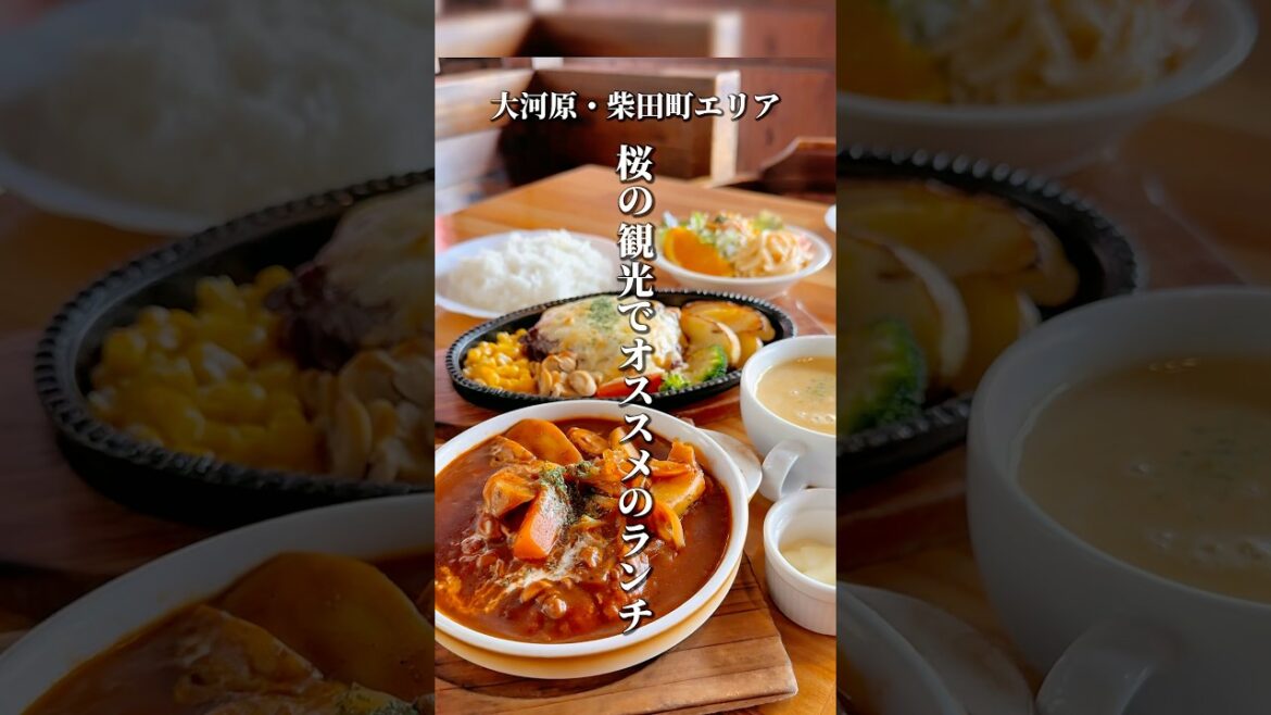 大河原・柴田町の桜観光でオススメのランチ【仙台グルメ】