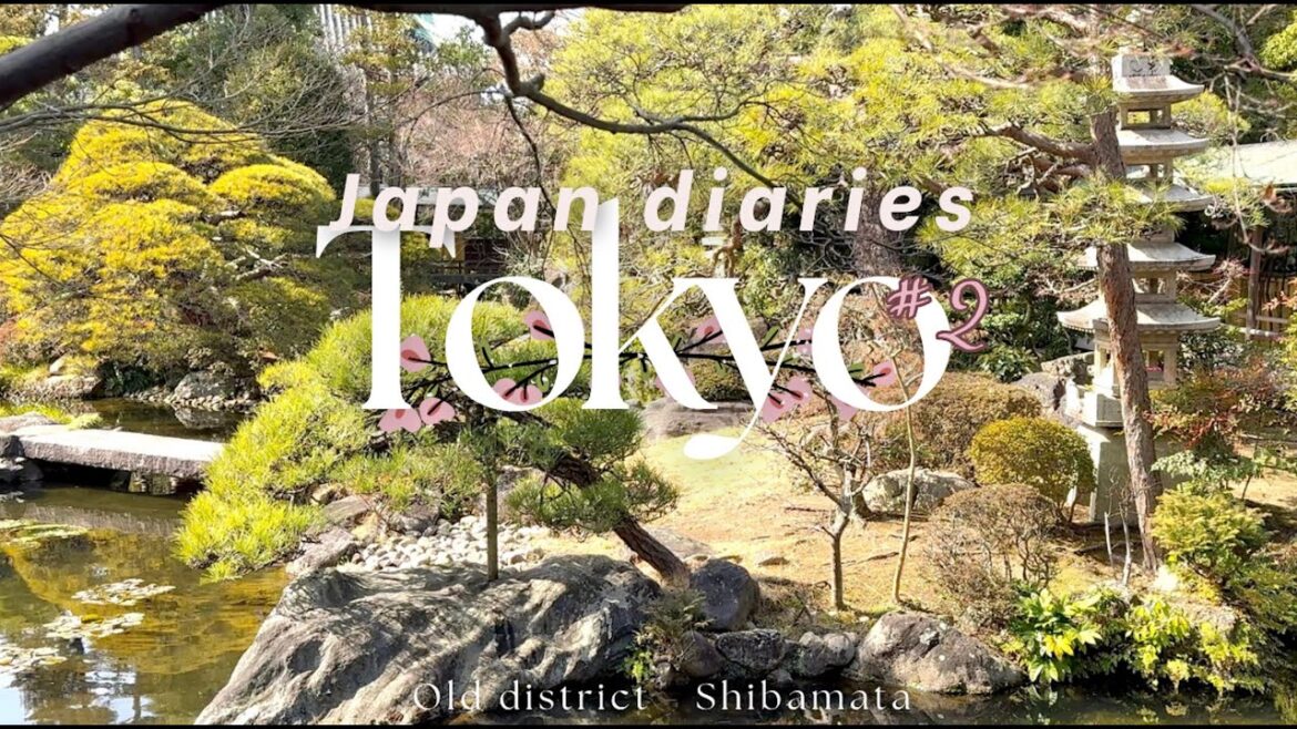 JAPAN Travel Vlog - Old side of Tokyo / Shibamata / Japan Diaries #2 🌸
