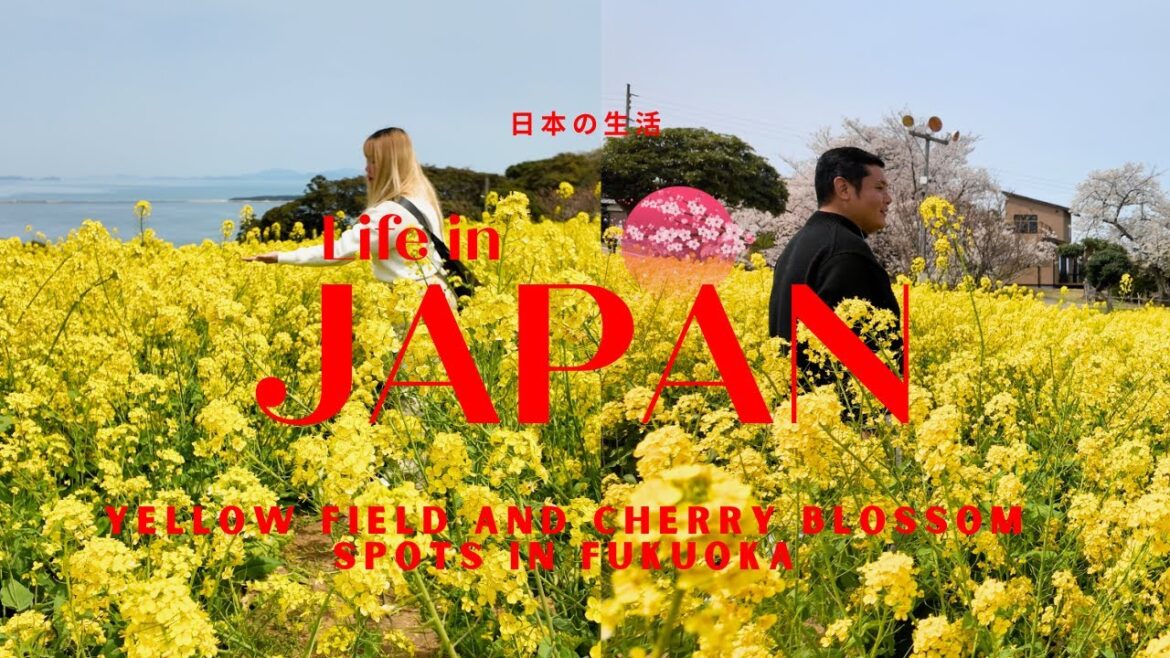 Exploring Fukuoka’s Hidden Paradise 🌸 Sakura, Sea & Shrines | Japan Travel Vlog | Spring time Exploring Fukuoka’s Hidden Paradise 🌸 Sakura, Sea & Shrines | Japan Travel Vlog | Spring time