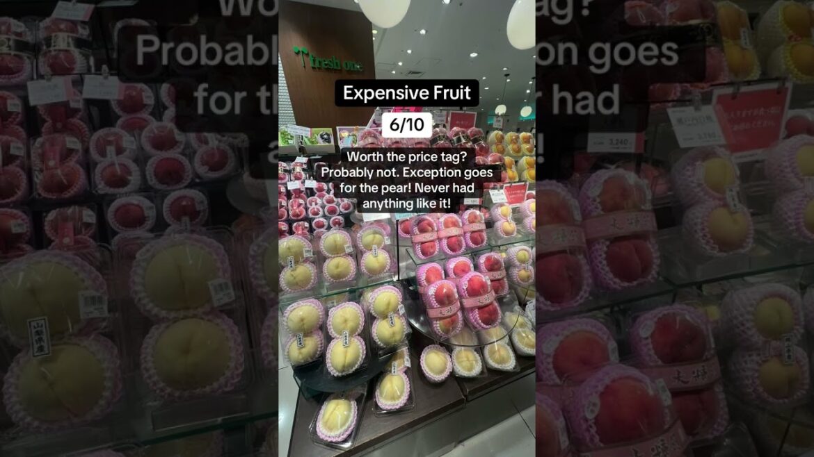 Everything we ate in Japan #japan #travel #recommendations #shorts #viralshorts #travelshorts #food