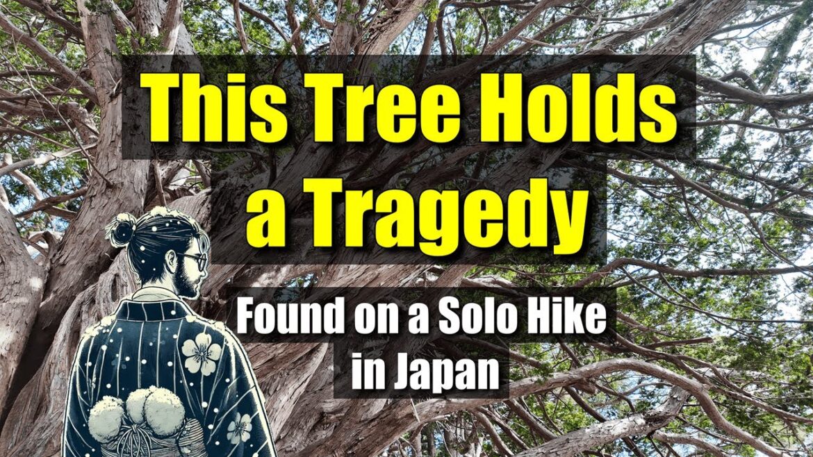 Whispers of Spring – A Solo Hike Through Mt. Hagi and Its Legends Whispers of Spring – A Solo Hike Through Mt. Hagi and Its Legends