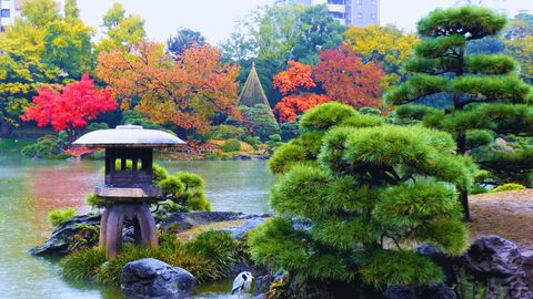 The Only Places You Need To Visit In Tokyo In 2025