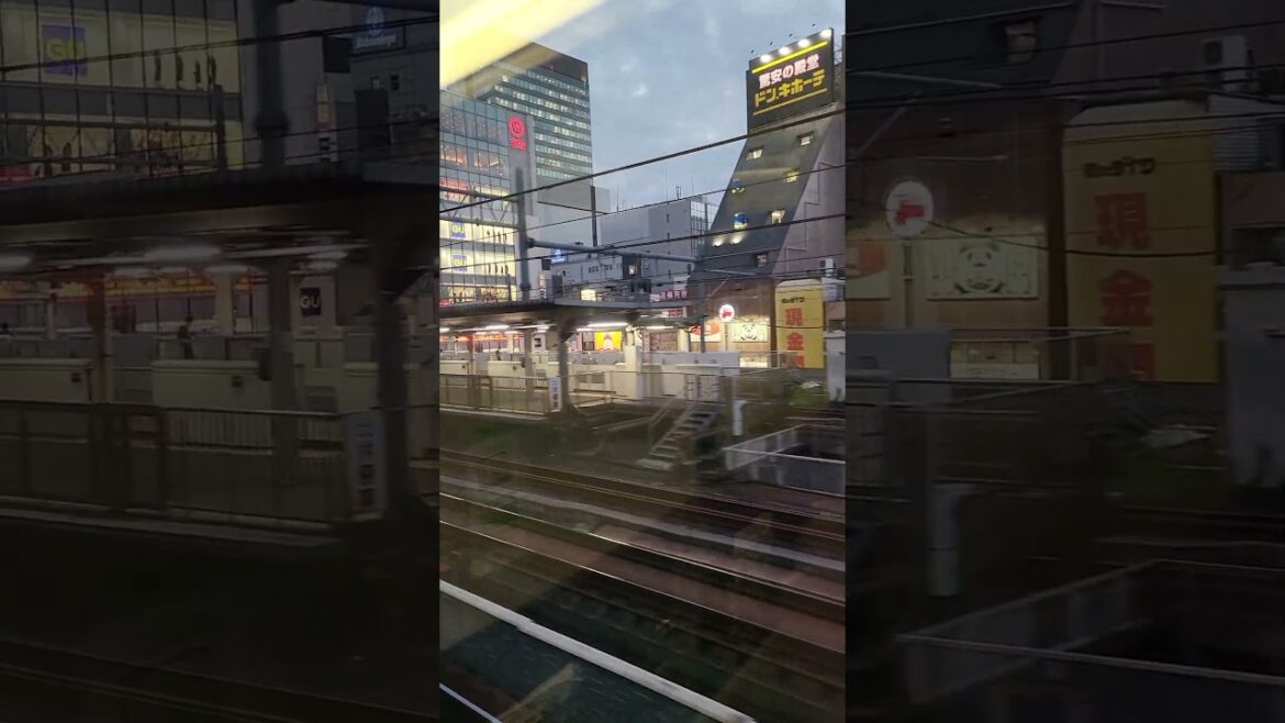 Ueno Area Tokyo Japan #japantouristguide #japantravelguide #uenojapan #subalttraveler #tourguiding