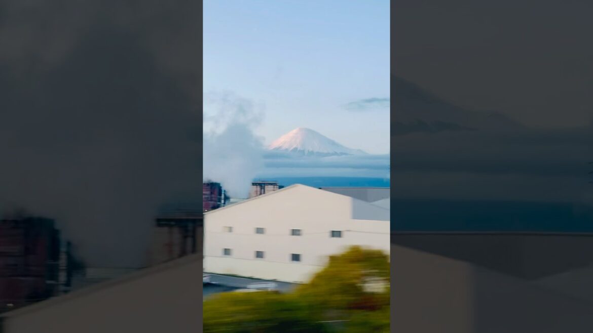 🗻Shinkansen view 💕 #travel  #mountfuji #shinkansen #japan