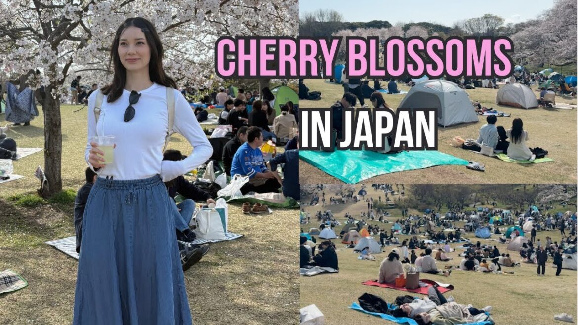 LIVING IN JAPAN 🌸 | cherry blossoms with coworkers, daily life vlog LIVING IN JAPAN 🌸 | cherry blossoms with coworkers, daily life vlog