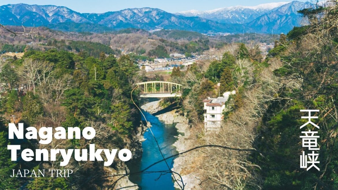 絶景Vlog｜特急伊那路で行く年末年始の天竜峡｜龍峡亭で過ごす温泉と絶景の2日間｜飯田線の旅