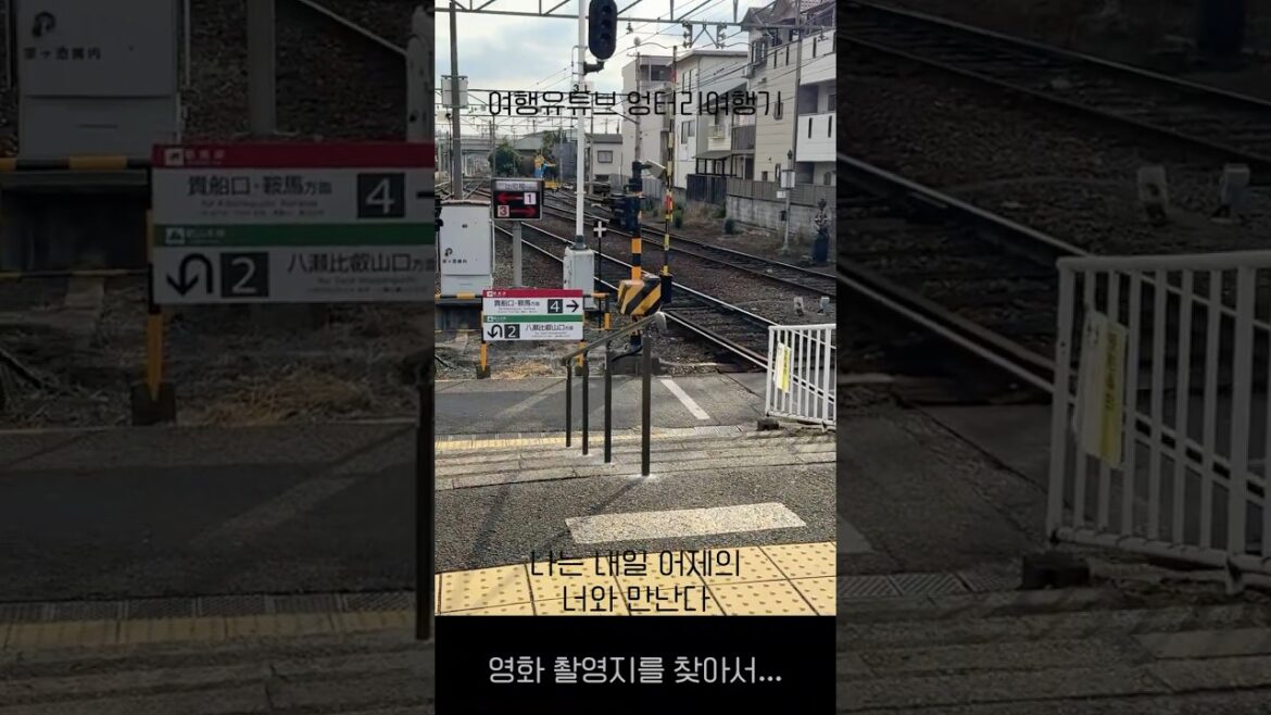 ★나는 내일 어제의 너를 만난다 교토 영화 촬영지 #나는내일 #영화 #촬영지 #일본영화 #travel #japan #일본여행 #vlog #교토맛집 #takoyaki ★나는 내일 어제의 너를 만난다 교토 영화 촬영지 #나는내일 #영화 #촬영지 #일본영화 #travel #japan #일본여행 #vlog #교토맛집 #takoyaki