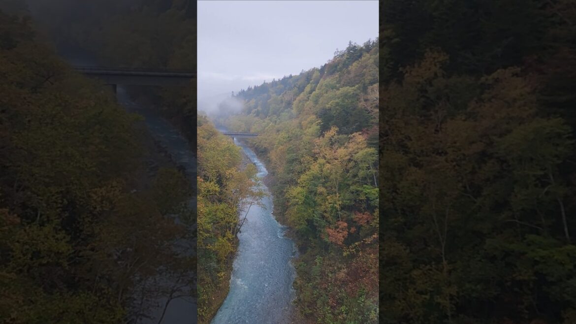 Biei River from Shirahige Waterfall#shorts#travel#japan#river#hokkaido #waterfall