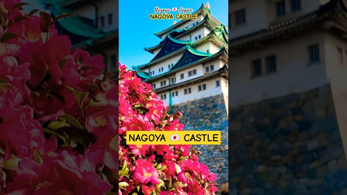 a TOURIST TRAP or a NATIONAL TREASURE? | NAGOYA CASTLE | NAGOYA AICHI 🇯🇵 JAPAN