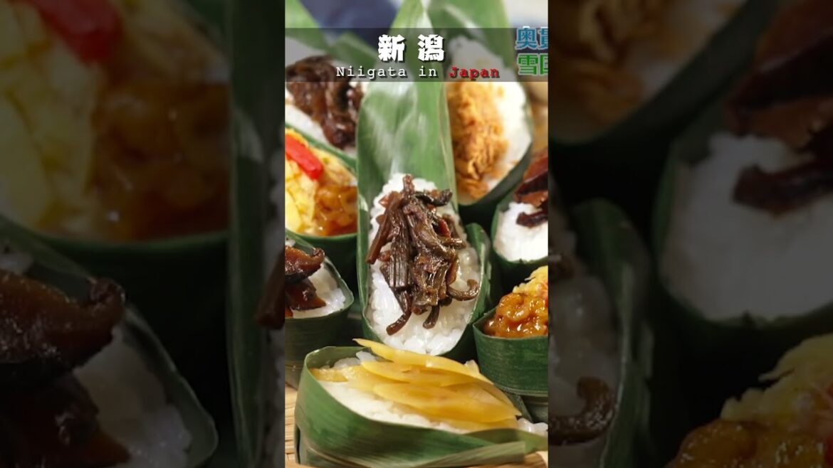 The magic of the snowy country❄#japan #vlog #trip #travel #food  #niigata  #culture #snow