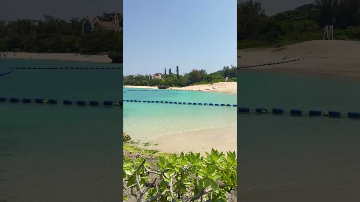 Okinawa Japan! Nabee Beach #okinawa #travel #beach #沖縄 #沖縄旅行 #shorts #shortsfeed Okinawa Japan! Nabee Beach #okinawa #travel #beach #沖縄 #沖縄旅行 #shorts #shortsfeed