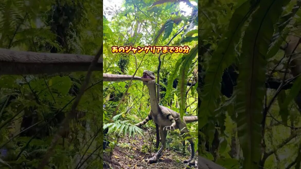 ジャングリア公式ホテルがすごかった#沖縄旅行 #沖縄観光 #旅行 ジャングリア公式ホテルがすごかった#沖縄旅行 #沖縄観光 #旅行