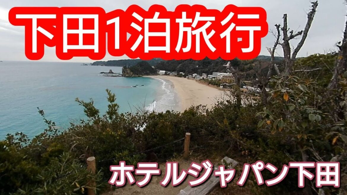 【伊豆下田】会員制ホテルジャパン下田のビーチハウス泊。