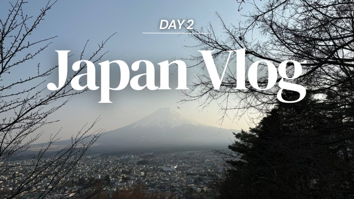 Japan Vlog Day 2 | Mt. Fuji Day Tour and exploring Lawson convenient store Japan Vlog Day 2 | Mt. Fuji Day Tour and exploring Lawson convenient store